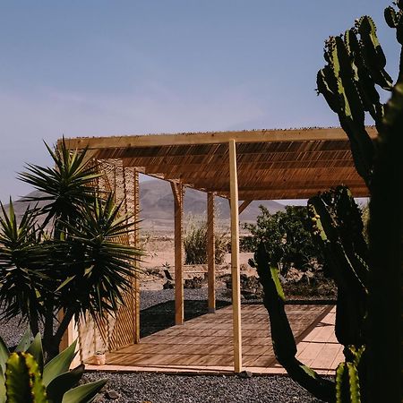 Surf & Yoga Retreats Fuerteventura Hotel Roque Eksteriør billede