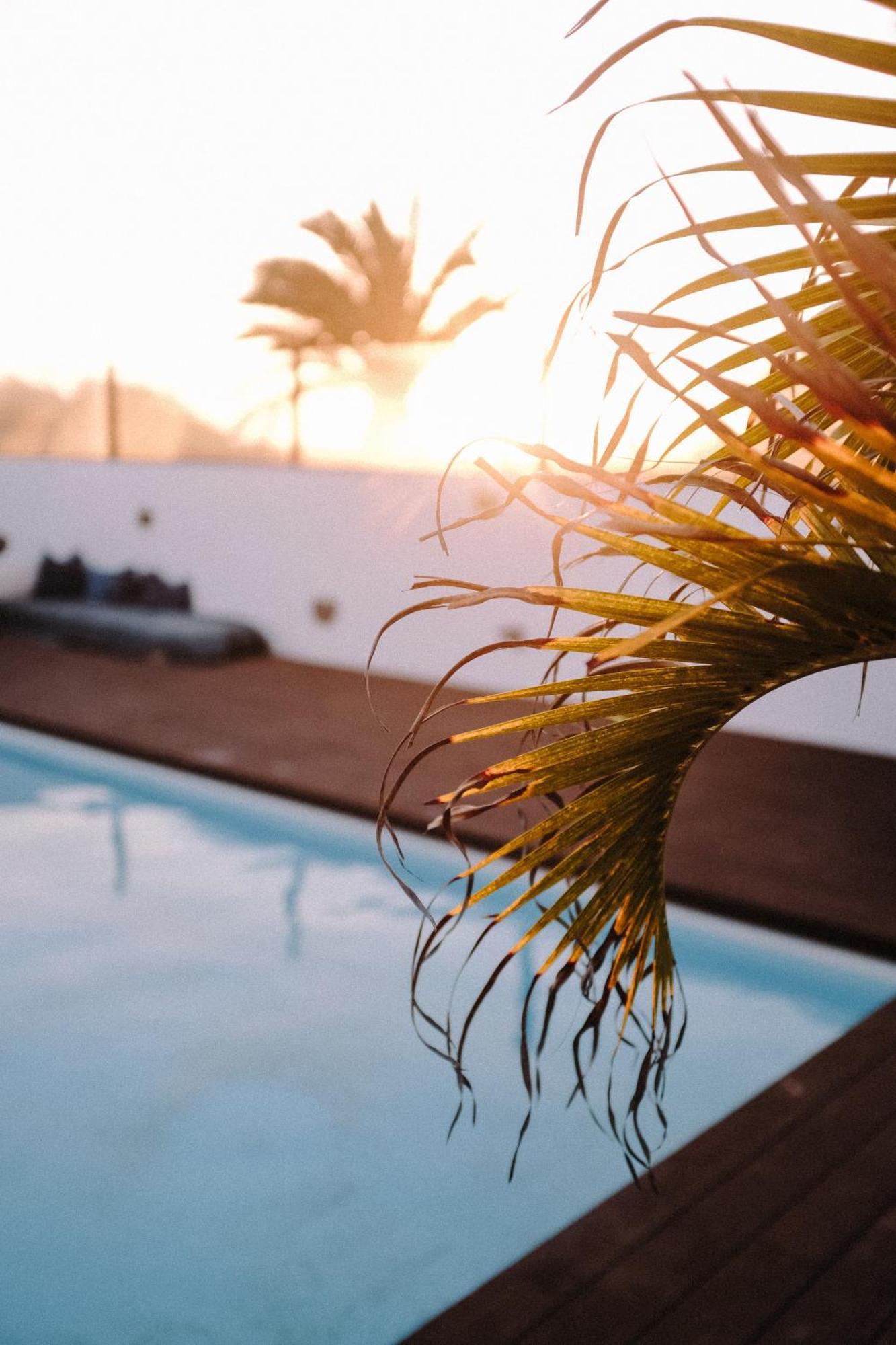 Surf & Yoga Retreats Fuerteventura Hotel Roque Eksteriør billede